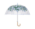 Umbrella-Hydrangea Clear