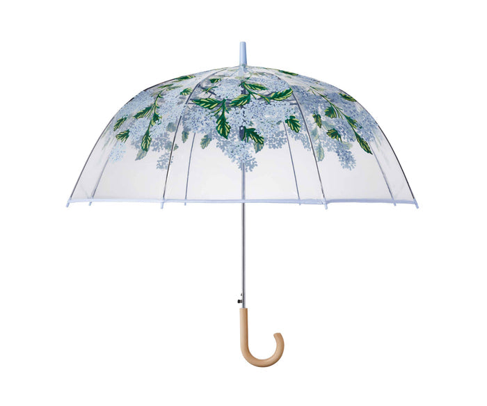 Umbrella-Hydrangea Clear