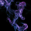 Violet Smoke | Fragrance Oil
