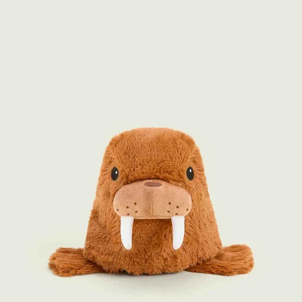 WALRUS / OS