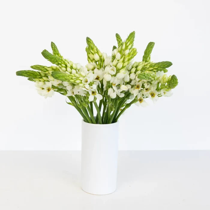 White Star Of Bethlehem Flowers Vase - Image