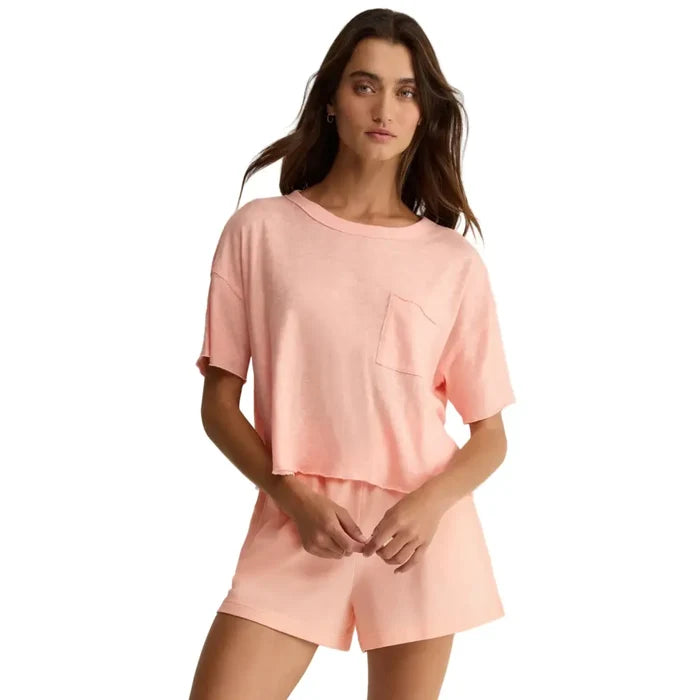 BELLINI / XS